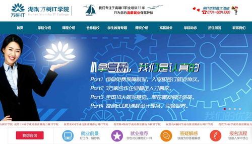 信息技術(shù)咨詢服務(wù) 電腦IT技術(shù)培訓(xùn)學(xué)校如何通過(guò)海量信息霸屏獲取生源咨詢